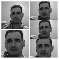 danmo43 danmo43